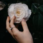 Personalization - A person holding a white flower in their hand