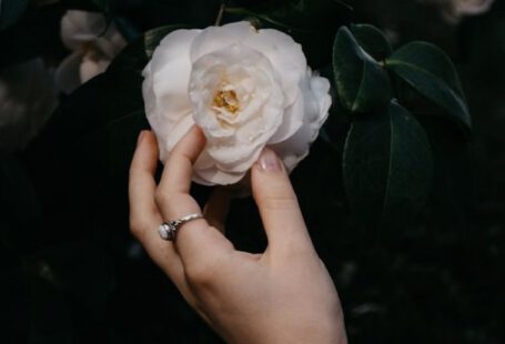 Personalization - A person holding a white flower in their hand
